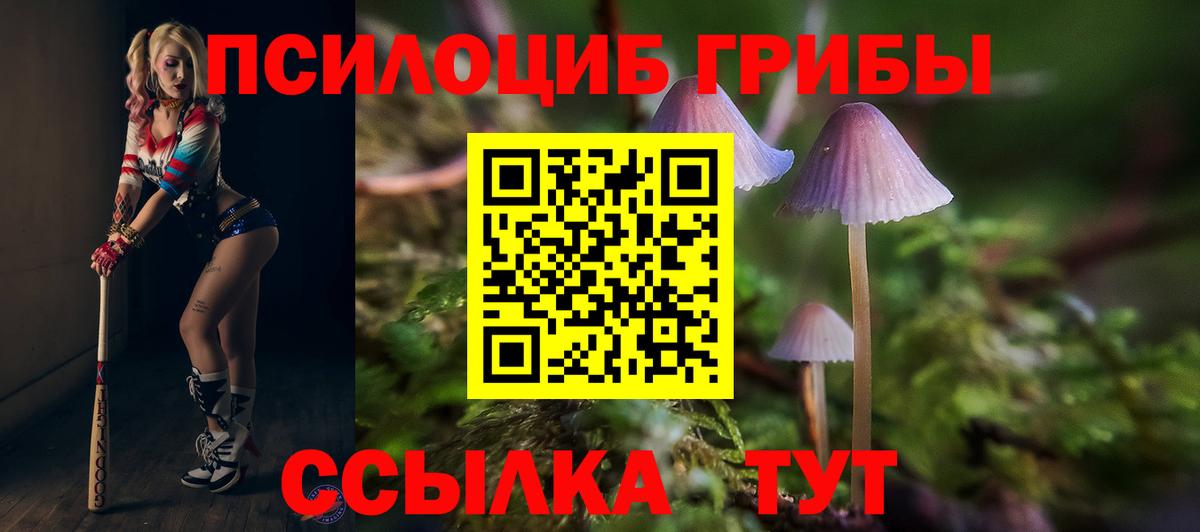 Всеволожск  Галлюциногенные грибы мицелий  Вход с VPN 
